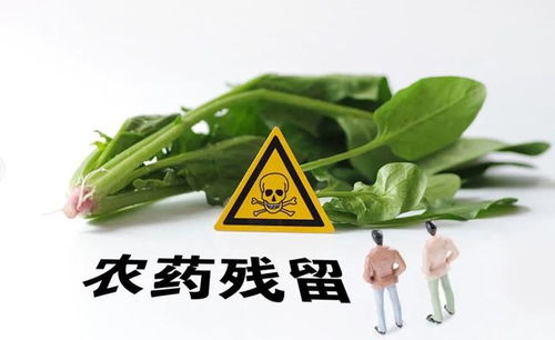 瀘州食品檢查通報 知名超市與火鍋店現不合格食品，市民需警惕