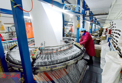 洛陽九發(fā)實(shí)業(yè) 瞄準(zhǔn)市場需求促生產(chǎn)，研發(fā)環(huán)保產(chǎn)品穩(wěn)就業(yè)